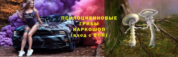 a pvp Аркадак