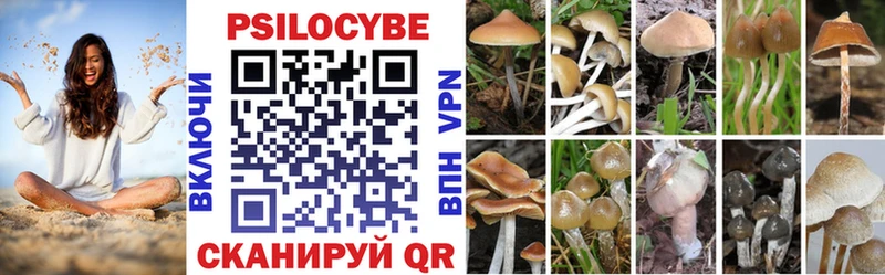 Галлюциногенные грибы Psilocybe MEGA ссылки Саров